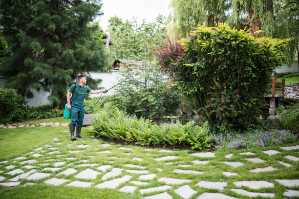 Best Mosquito Control Services  in Kotzebue, AK