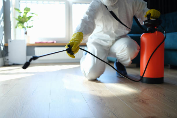 Best Flea Control Services  in Kotzebue, AK