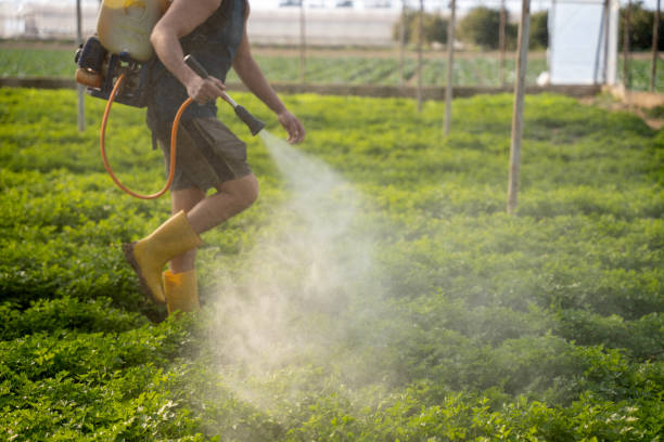 Best Pest Removal Services  in Kotzebue, AK